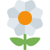 :blossom: :blossom: