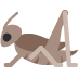 :cricket: :cricket: