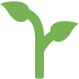 :seedling: :seedling: