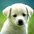 Adeel_Ajmal