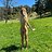 Amelia_173303