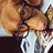 Austin_SpencerTreine