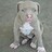 Chris_Burchett