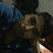dayse