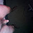 Dirtybear