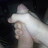 Djbaldy21