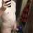djnaiman1999