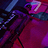 Doc_QD