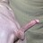 HotBaldCock458