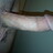 hudsonn_a