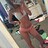 isabella.miller31