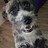 Jack_Hordenchuk