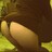 jaylynnxada25