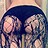 jennypapa29