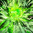 Jeremy_Nelson