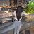 jerry_69d