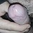 Jonatham_Stuit