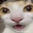 Keno