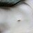 leni3678_kikme