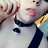 lexiLove01X