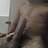 Luis_Gomez