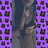 MainKittyy