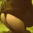 marissadona24