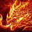 MaxiFusion_1