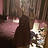 MelissaHehexx