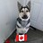 Michael_Brault