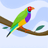 Naeem_Zafar