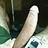 nathen_brewer