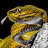 OG_SNAKE_OFFICIAL