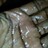 ReadyNHot