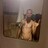 Scott_Nevs