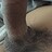 Sebastian_Lundin