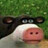 Simon_t