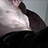 Stephen_Grant1