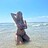 Stuartds_Sparks