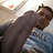 Tito199025