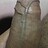 Vishal_Bhosale