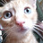 xander_wilson