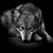 Zachary_Northcutt