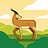 Zieshad_2024